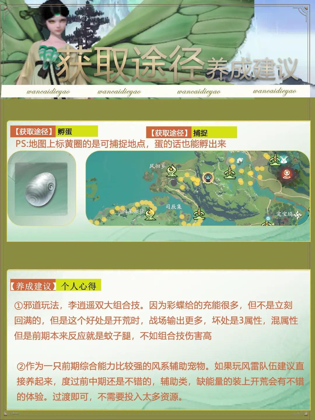 仙剑世界手游万彩蝶妖值不值得培养 宠物万彩蝶妖最全养成攻略图片3