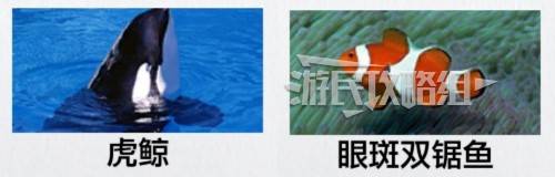 如龙8外传夏威夷海盗全部资格考试答案汇总 大海原证书考试答案大全图片4