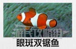 如龙8外传夏威夷海盗全部资格考试答案汇总 大海原证书考试答案大全图片6