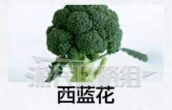 如龙8外传夏威夷海盗全部资格考试答案汇总 大海原证书考试答案大全图片9