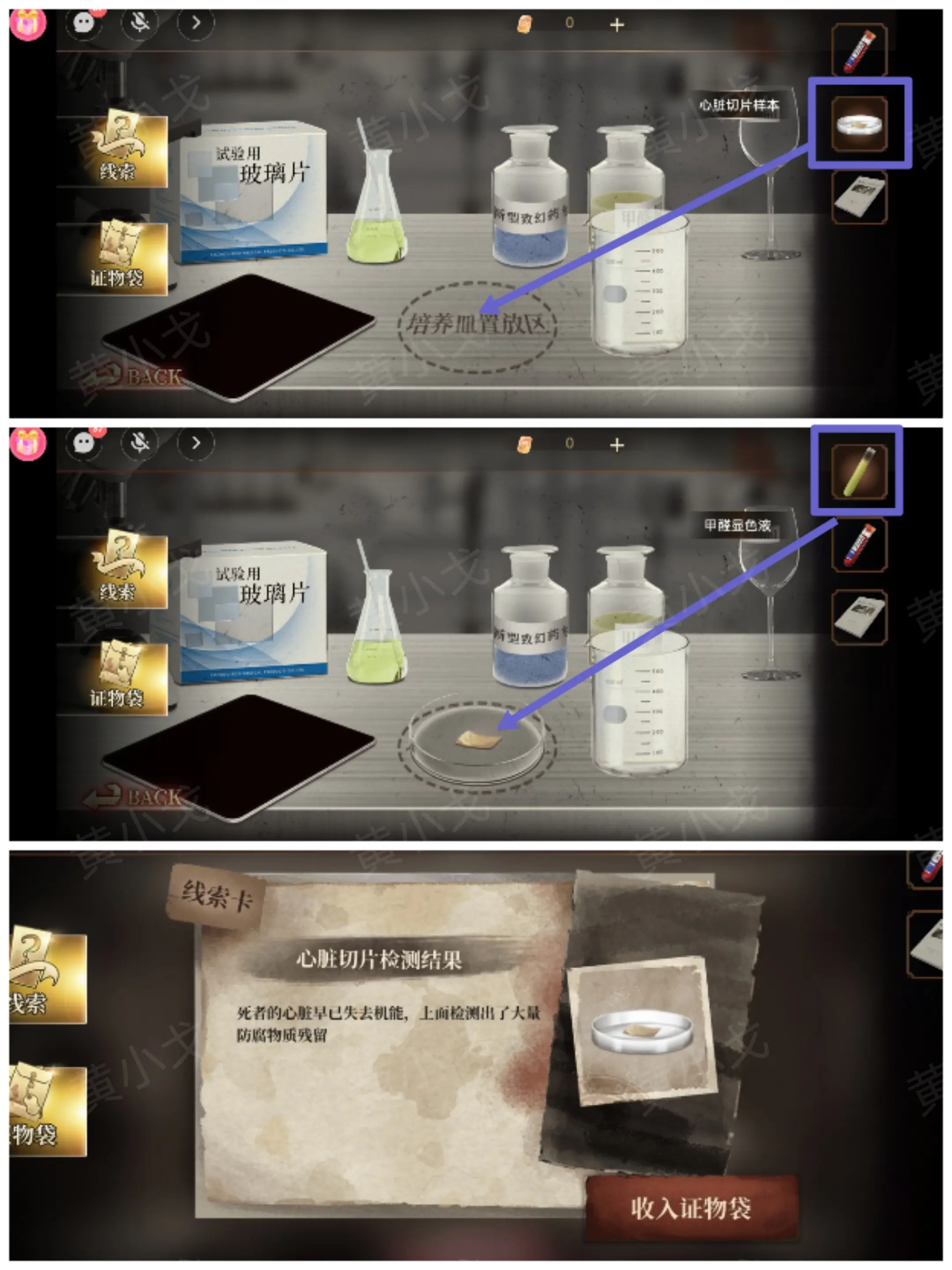血色蔷薇游戏攻略大全  第1-4章攻略全流程图片29