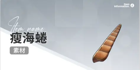 开放空间赶海收集物出现时间汇总一览图片6