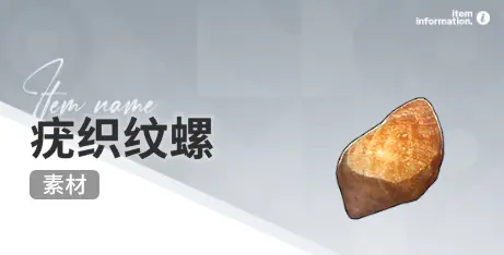 开放空间赶海收集物出现时间汇总一览图片4