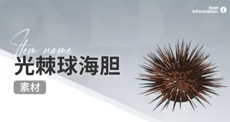 开放空间赶海收集物出现时间汇总一览图片20
