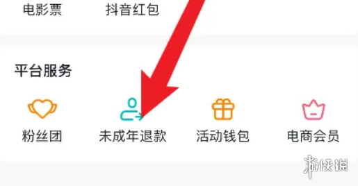抖币充值后怎么退款  抖币退款流程一览图片5