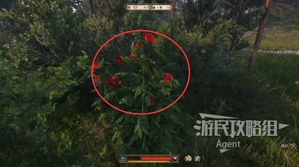 天国拯救2隐士的剑怎么获得  隐士任务攻略图片11