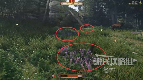 天国拯救2攻略大全  全部任务图文攻略总汇图片29