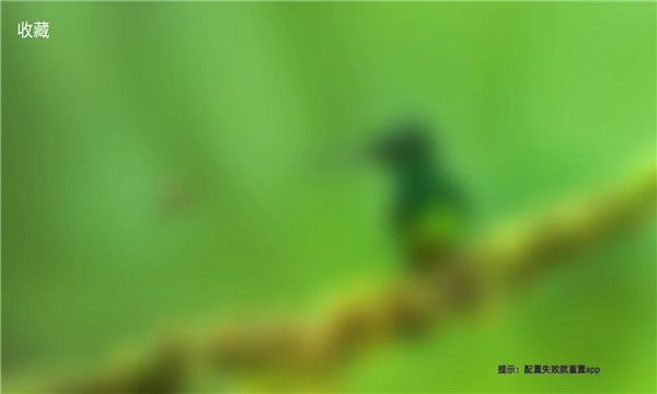 金虎影院官方下载图2:yc