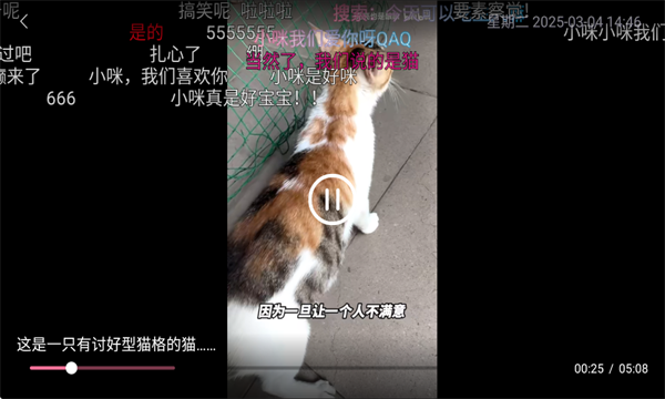 老比利影视tv电视版app免费下载图3:yc