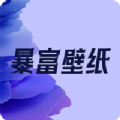 暴富壁纸最新版下载 v1.0.3