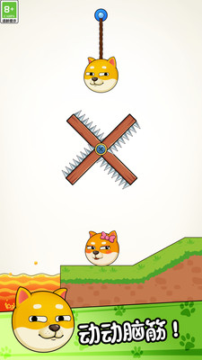 菜狗闯关官方最新版图2:zcc