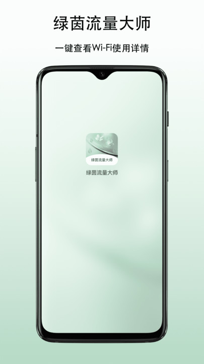 绿茵流量大师app图3