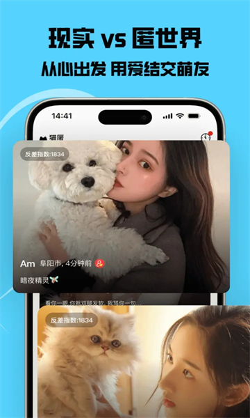 猫匿交友下载图片1