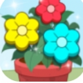 点点花儿开正版红包下载安装 v1.0.0.2