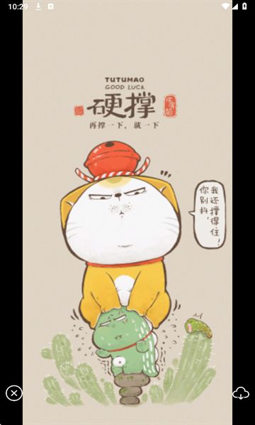 彩虹图库手机版下载图3:yc