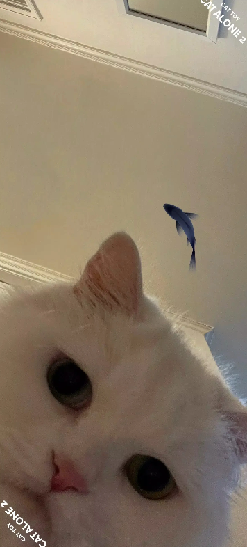猫屿孤航2最新版图2