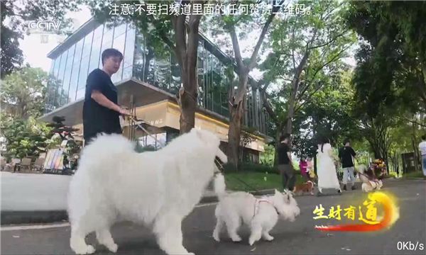 落日TV电视版图1