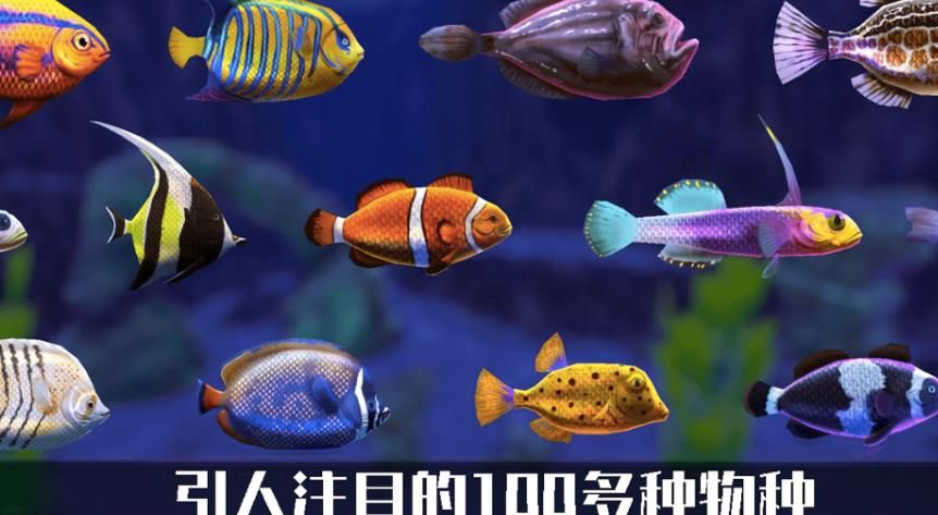 轻松水馆游戏图1
