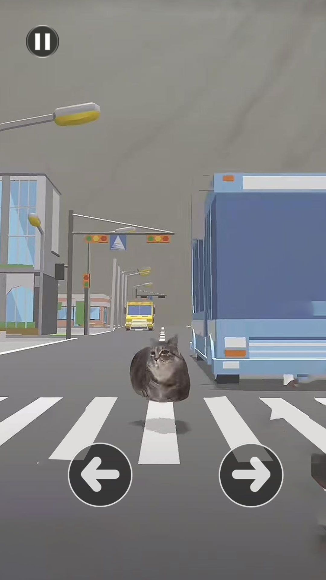 小猫过马路游戏图1