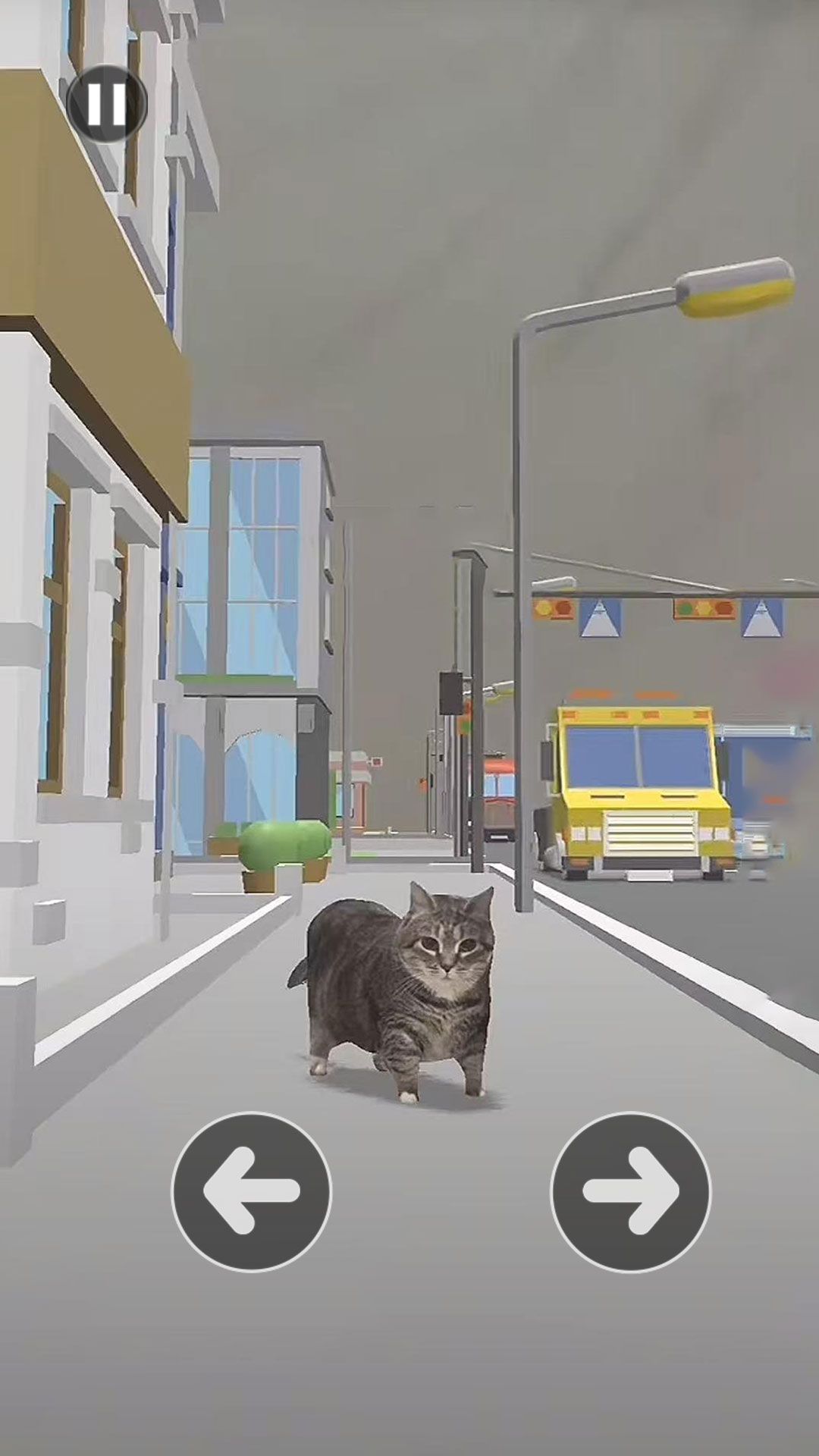 小猫过马路游戏图2
