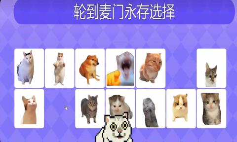 Meme的毒药手机版最新版图2:zcc