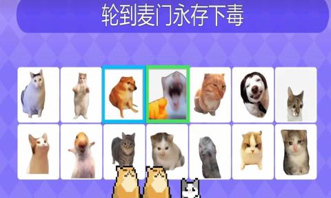 Meme的毒药手机版最新版图片2