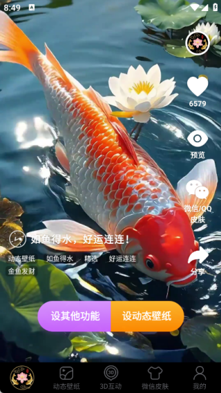 荷花锦鲤壁纸手机版下载图2:yc