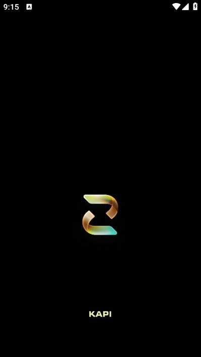 Kapi相机最新版下载图1:yc