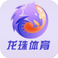 龙珠体育官方最新版 v1.0